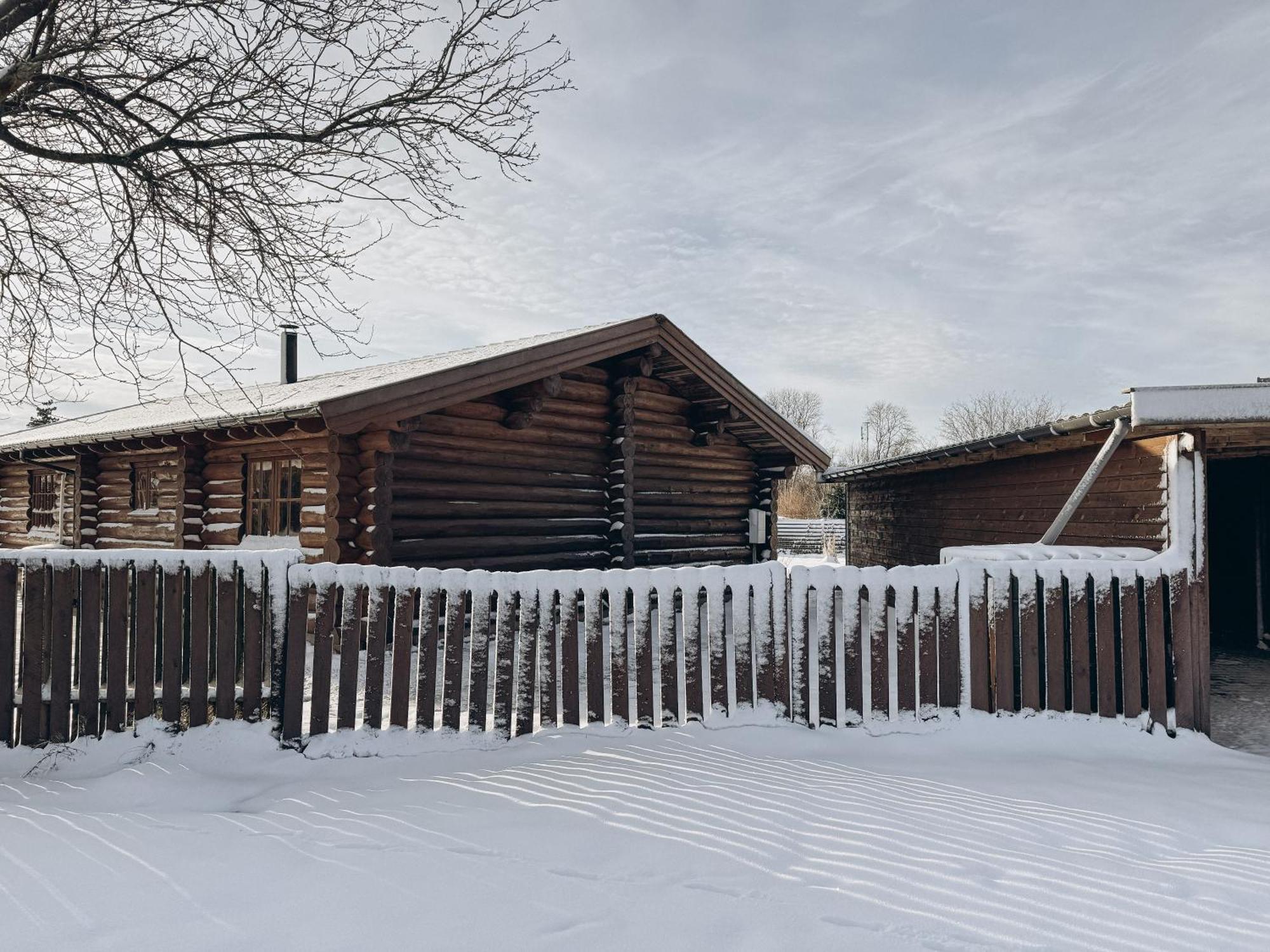 Fjordhygge - Authentic Wood Log Cabin Summerhouse Near Water, Fjord And Forest Jægerspris المظهر الخارجي الصورة